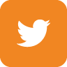 Twitter Logo Hover