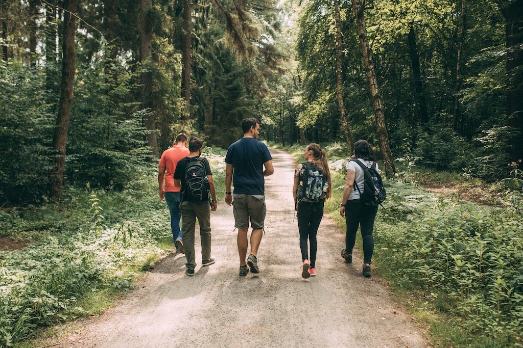 Escape the Forest Teamevent Spielgestalter