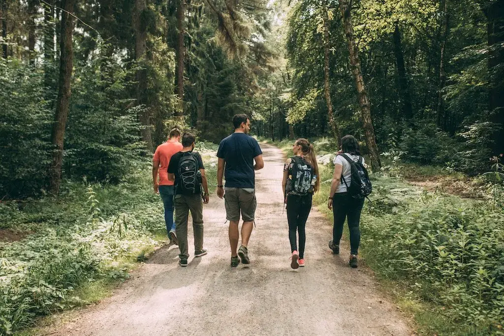 Escape the Forest Teamevent Spielgestalter