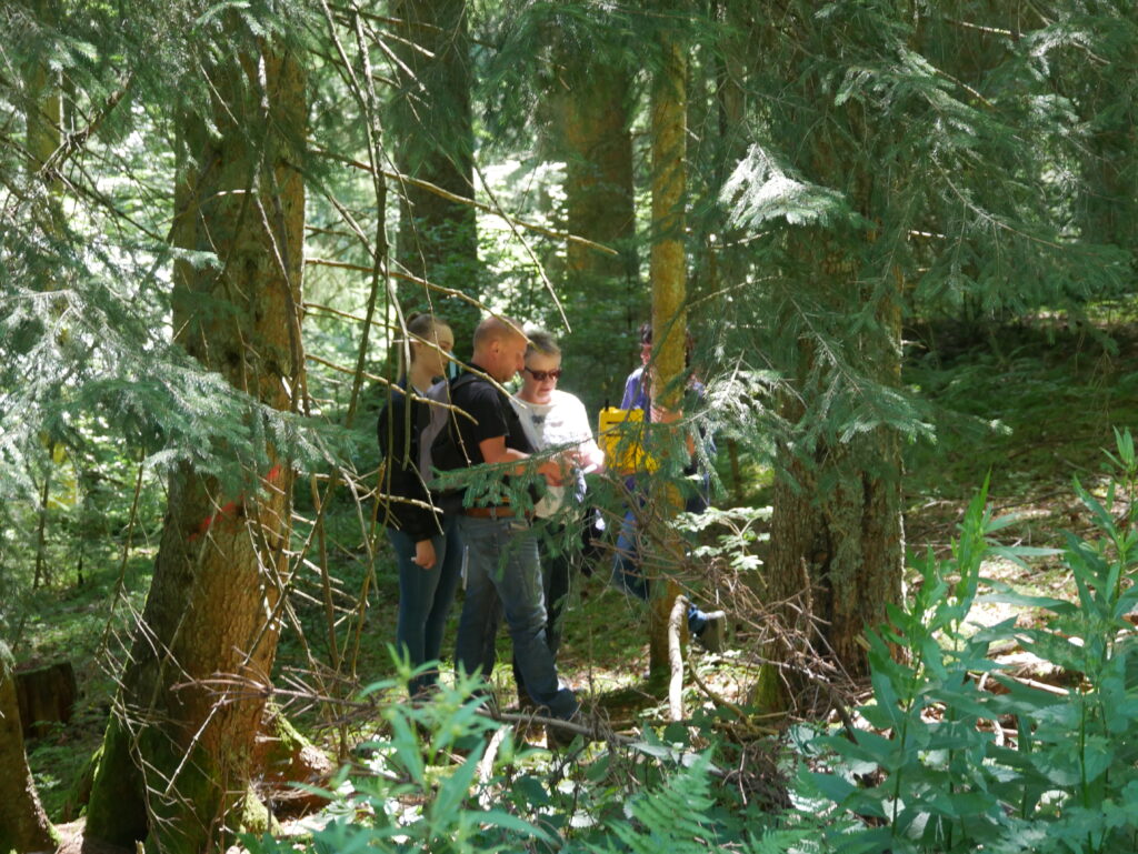 Spielgestalter_Escape the Forest_Produktbild