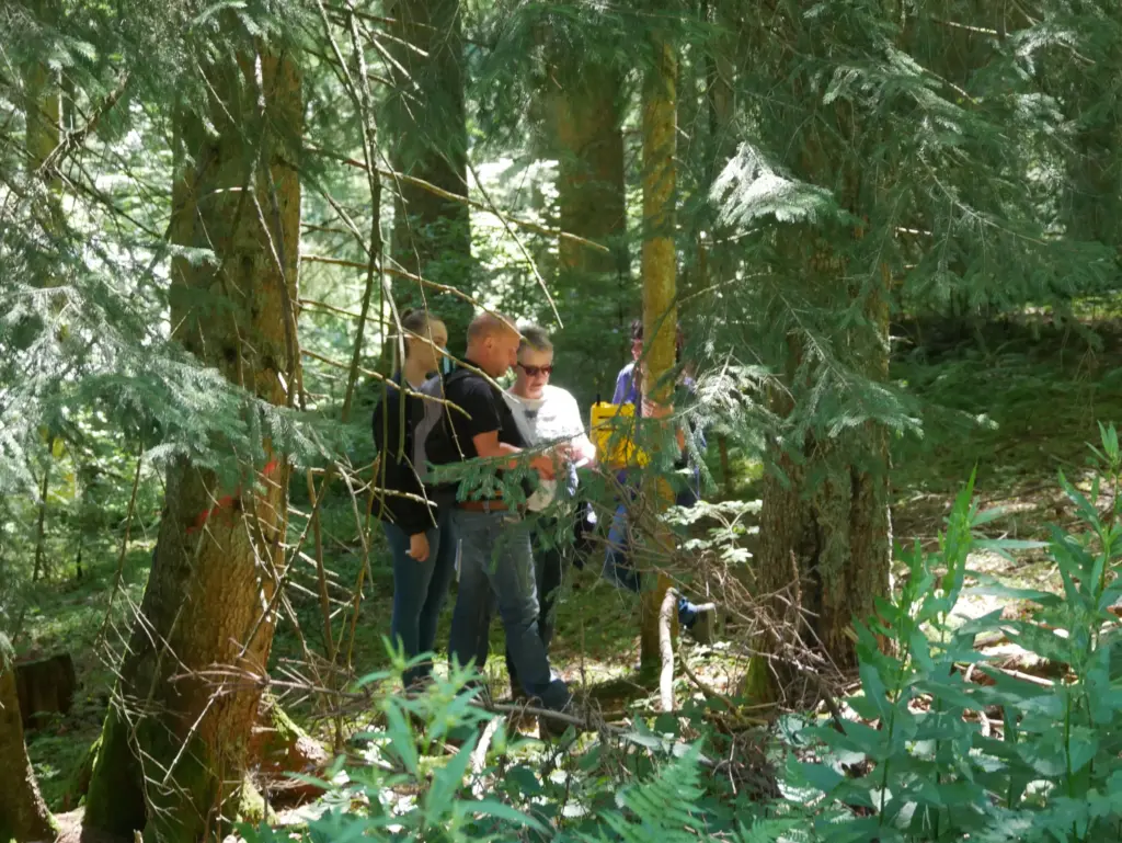 Spielgestalter_Escape the Forest_Produktbild
